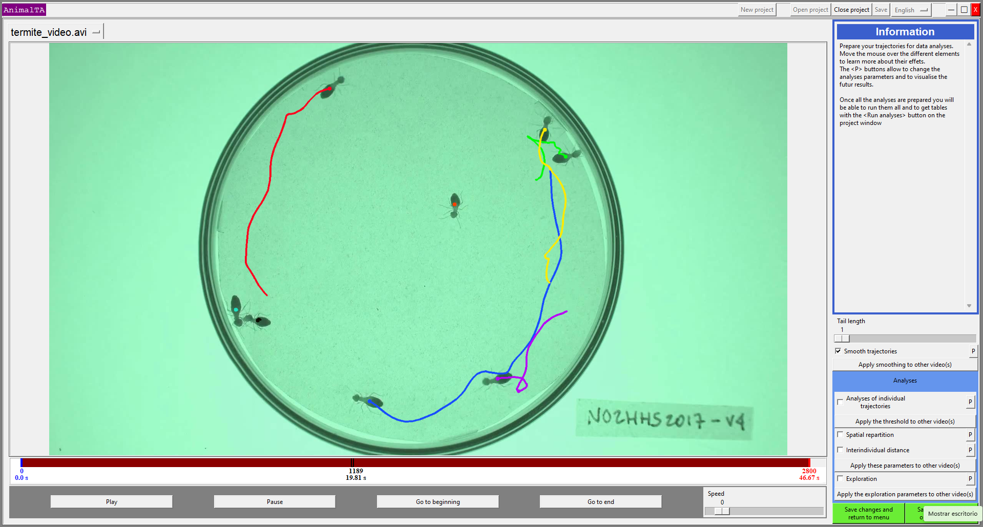 Termite_track